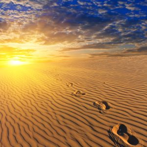 The Footprints of Jesus