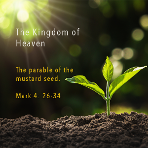 The Kingdom of God is Like …
